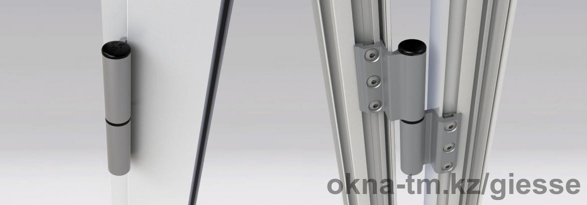 SchlegelGiesse разработала новую контрастную петлю для дверей