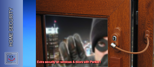 Защита дома &mdash; Penkid